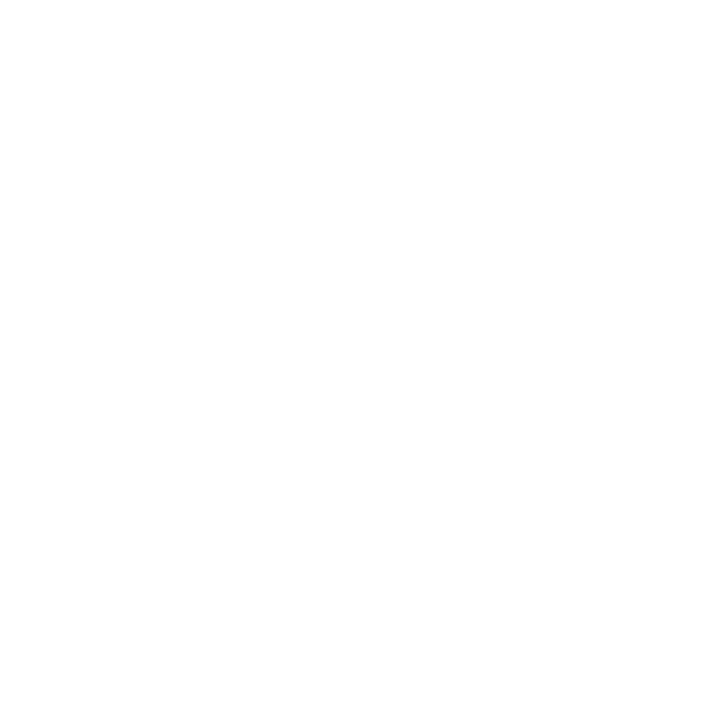 Botto Logo